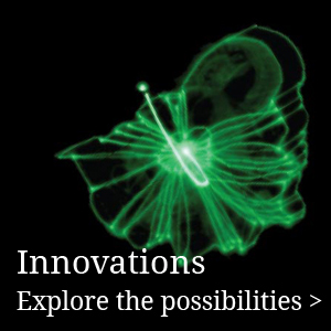 fractalis-innovations-explore-the-possibilities